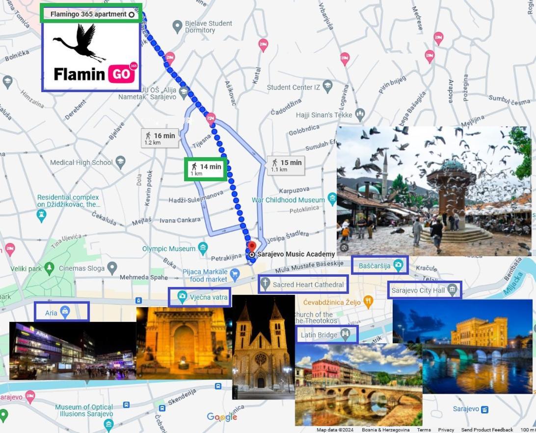 Flamingo 365 - Near City Center With Free Parking 사라예보 외부 사진